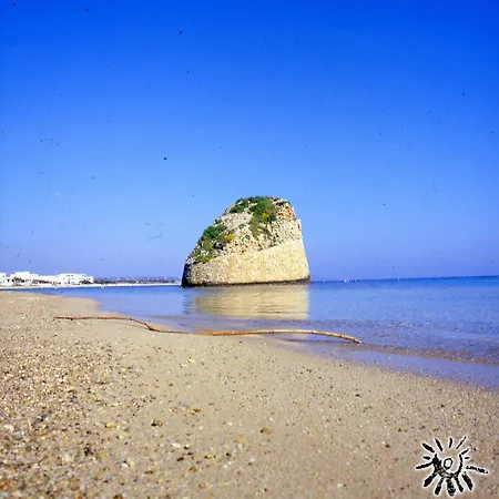 Pand'amuri